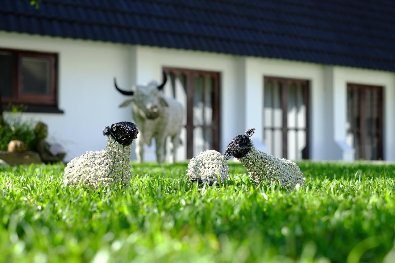 Kilmorna Manor Guest House Shoemanskloof Exterior photo